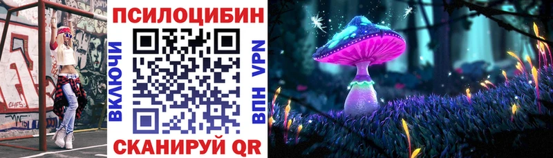 Галлюциногенные грибы Psilocybe  Заречный 