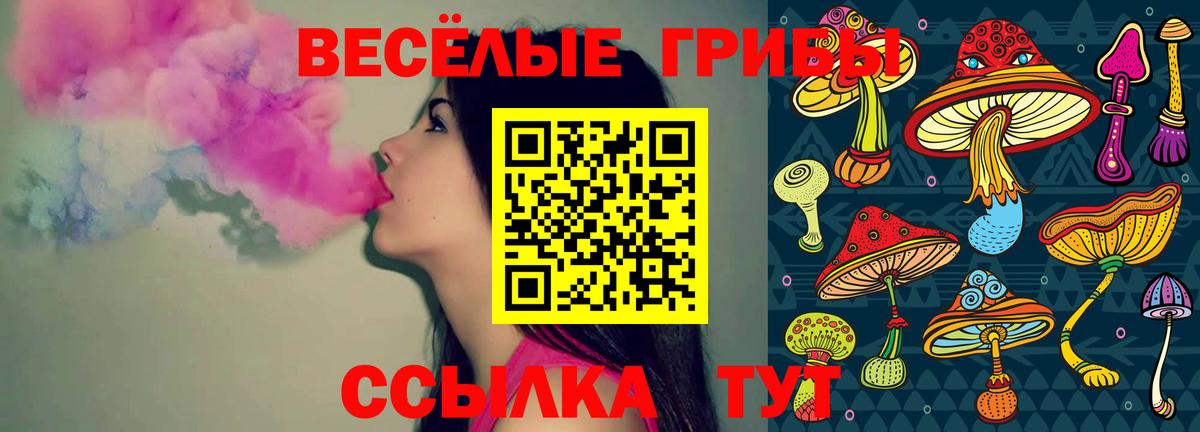 Псилоцибиновые грибы ЛСД  Вход с VPN  Заречный 